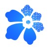 Senior Software Engineer