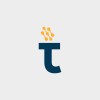 Wordpress Developer