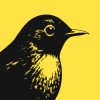 Communication web designer