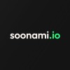 Chief Executive Officer (CEO)