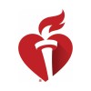Sr. Digital Developer
