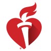 Sr. Digital Developer