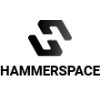 Software Developer
