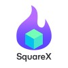 Software Engineer