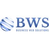 Web Development Intern