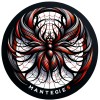 PHP Web Developer