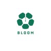 Web Development Intern