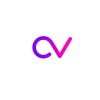 Developer