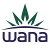 Junior Content Specialist